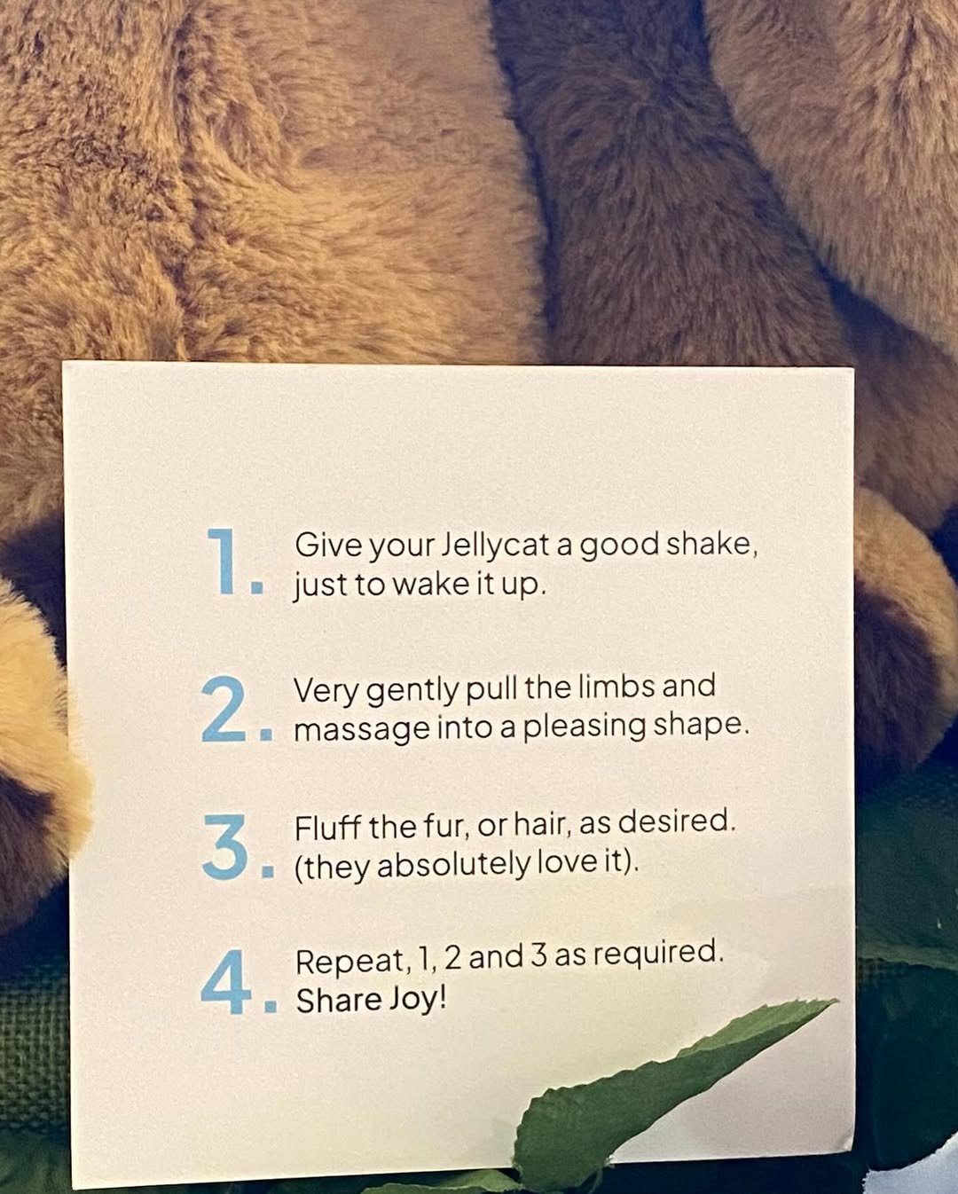 We have a big job to do with every new @jellycat arrival in the shop! We take our responsibility very seriously because who doesn’t want to love up a Jellycat upon arrival? Have you seen our newest Jelly Friends? Come in to meet them today before they all get adopted. And yes we got TWO new BUNNY styles!