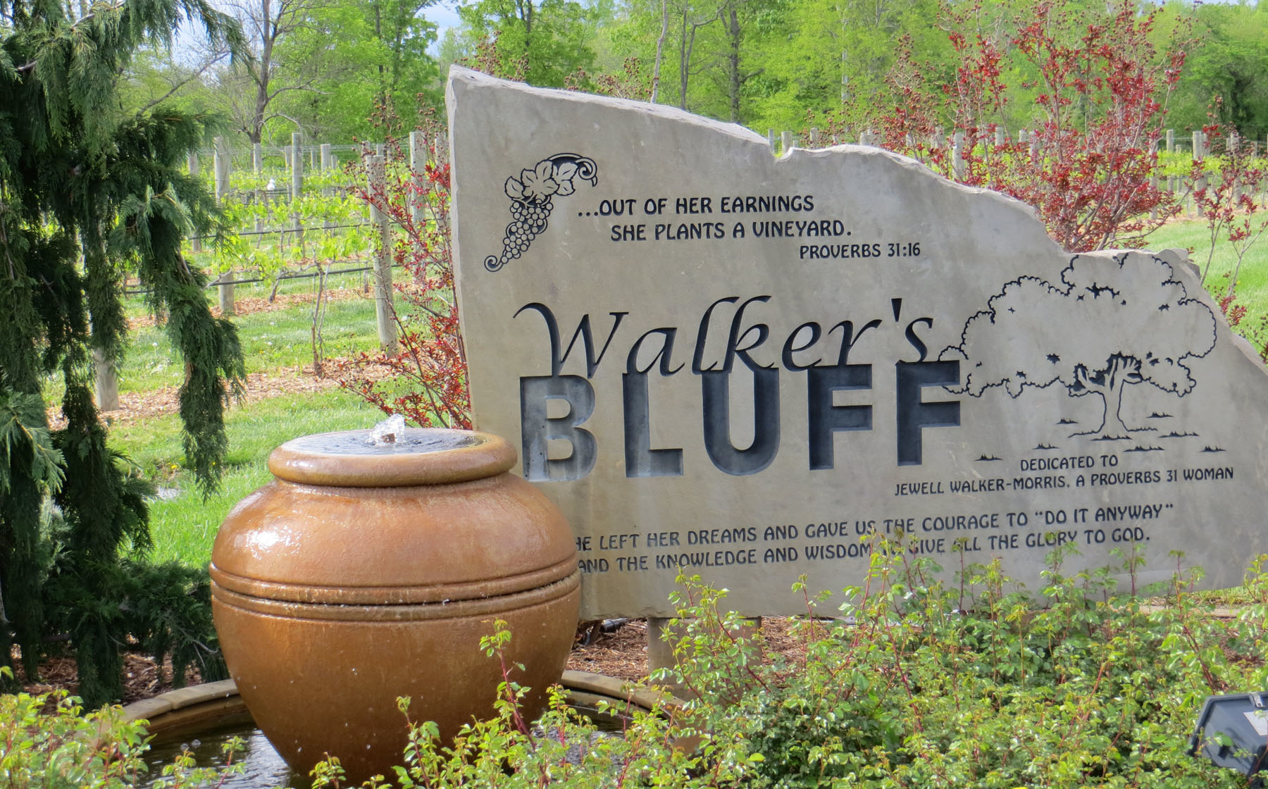 Walker's Bluff