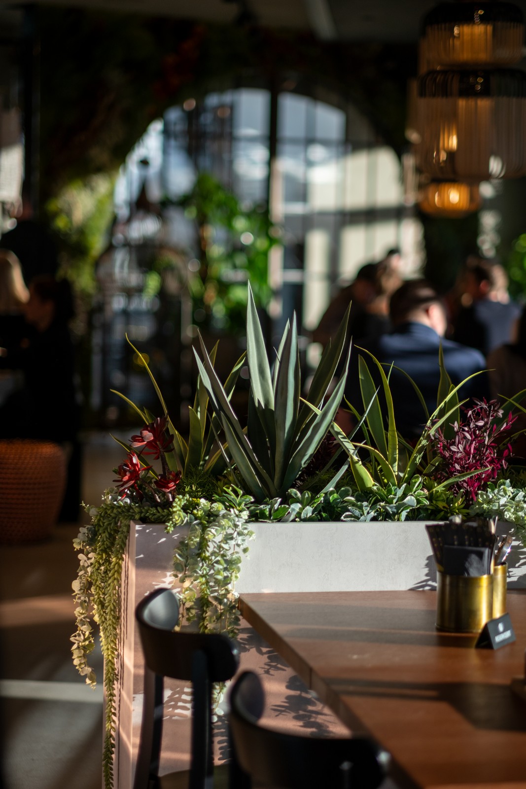 Bilder Nooba Andermatt