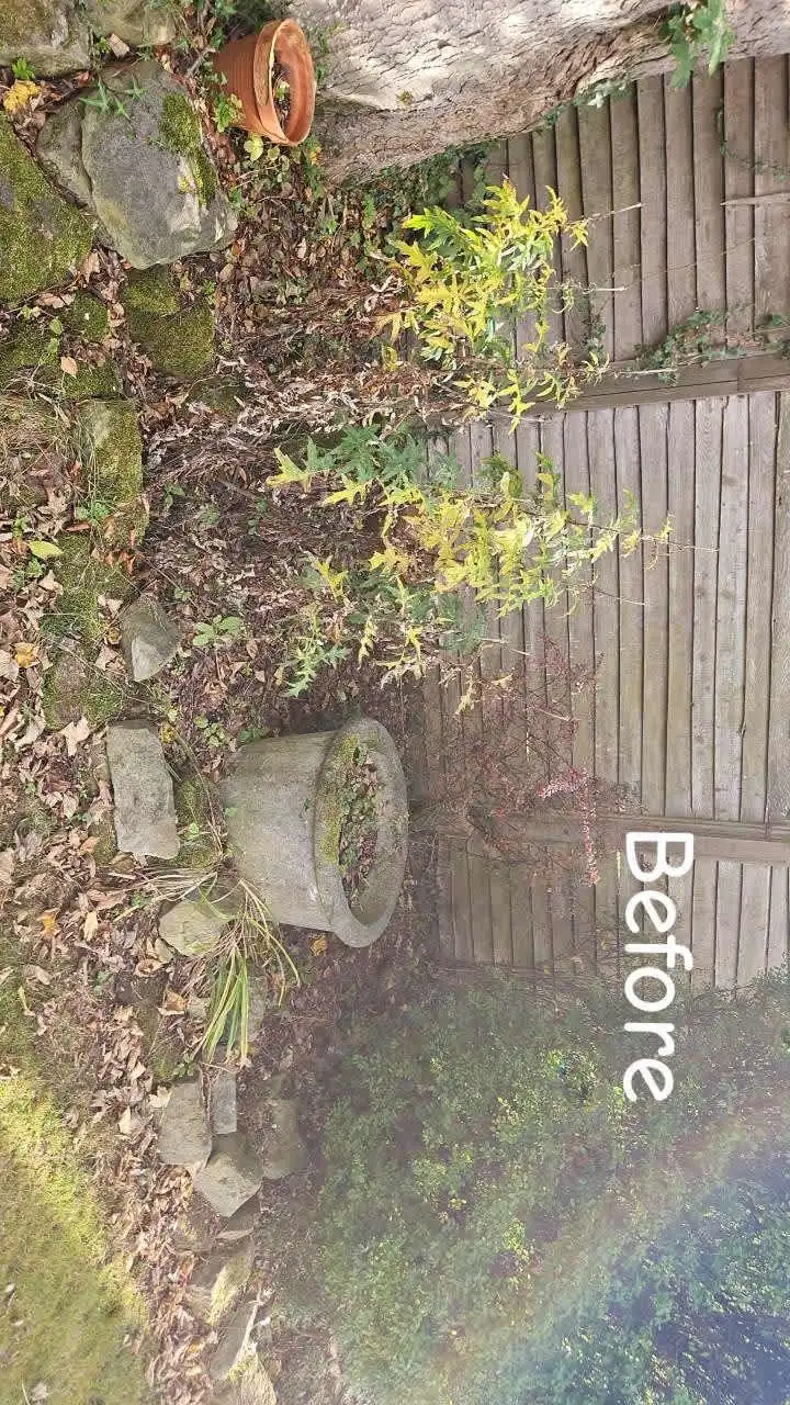 Images PG Garden Maintenance