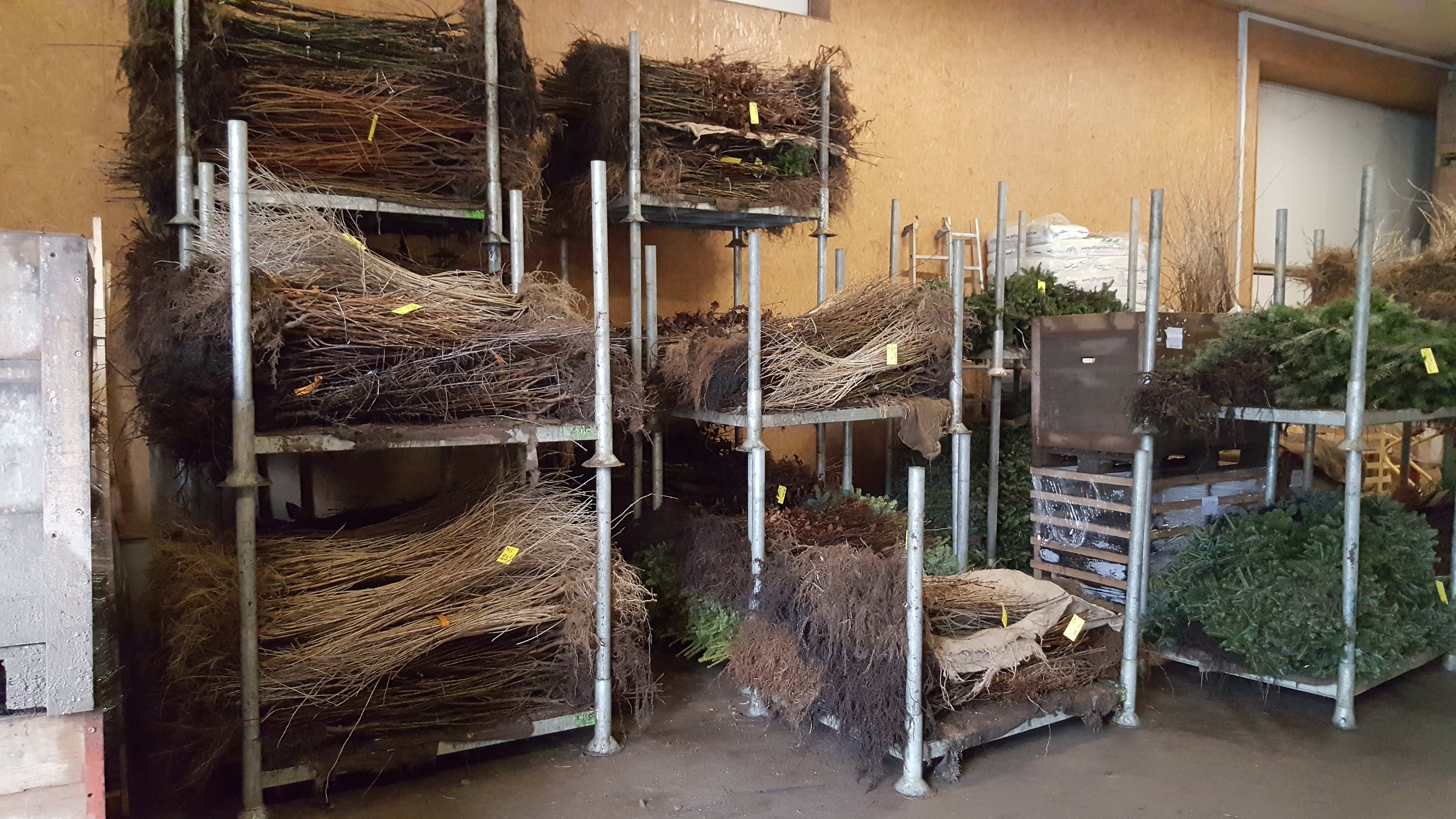 Emme Forstbaumschulen AG, Schachen 9 in Wiler b. Utzenstorf