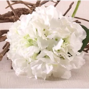 Images Village Green Wholesale Ltd