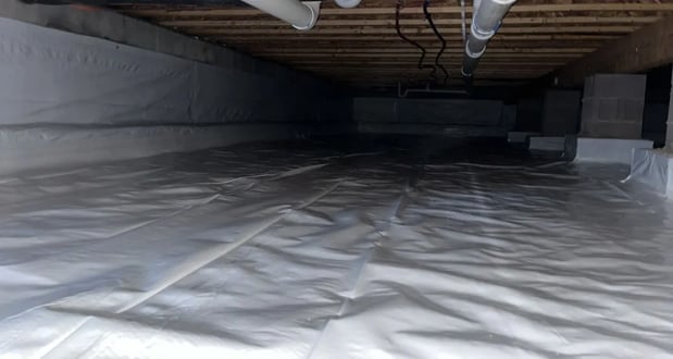 Images Midwest Mold Specialist LLC