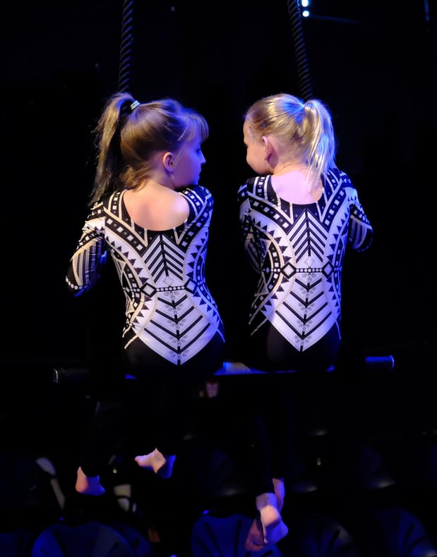 Images Ashland Aerial Arts