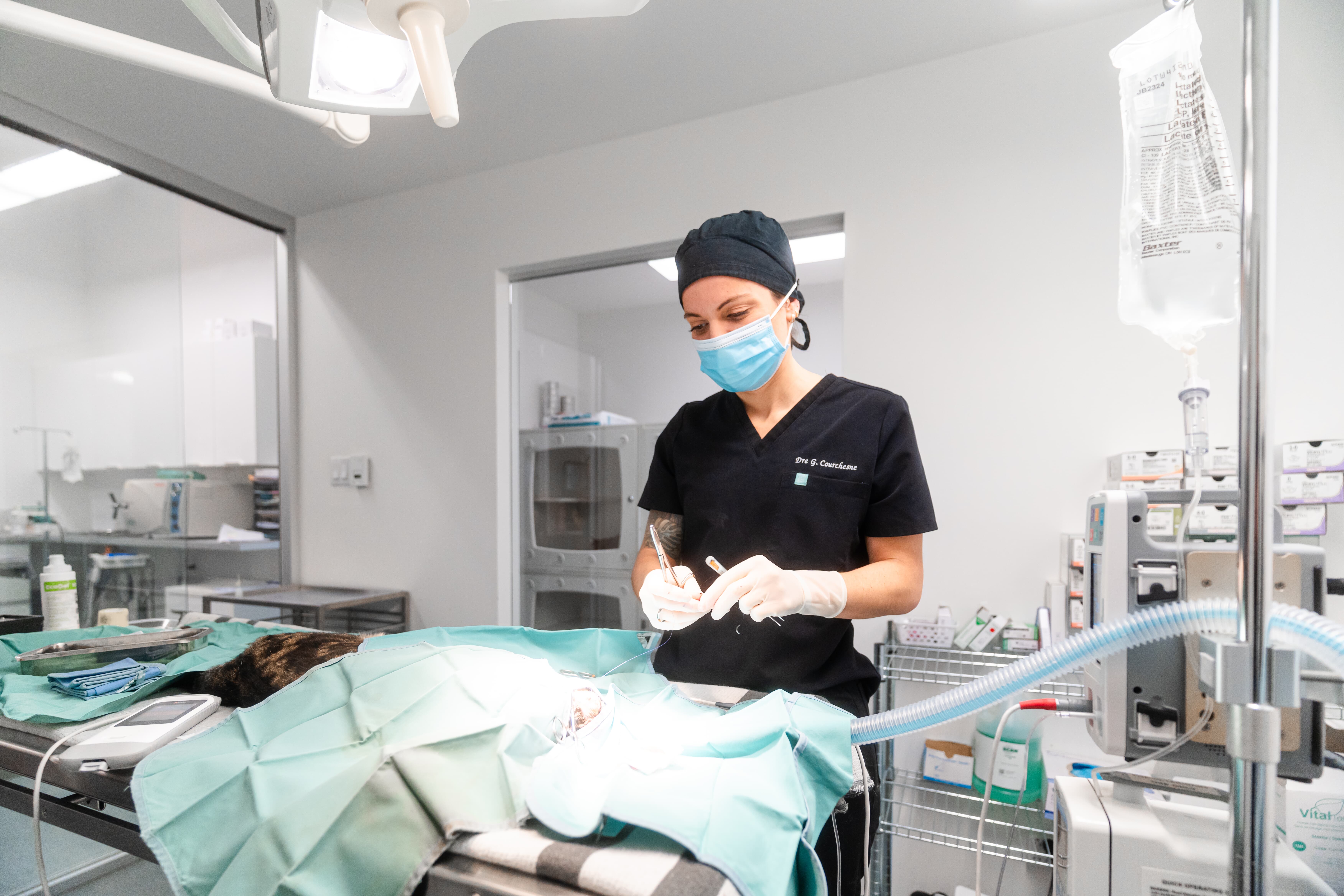 Images Clinique Vétérinaire Quartier Dix30