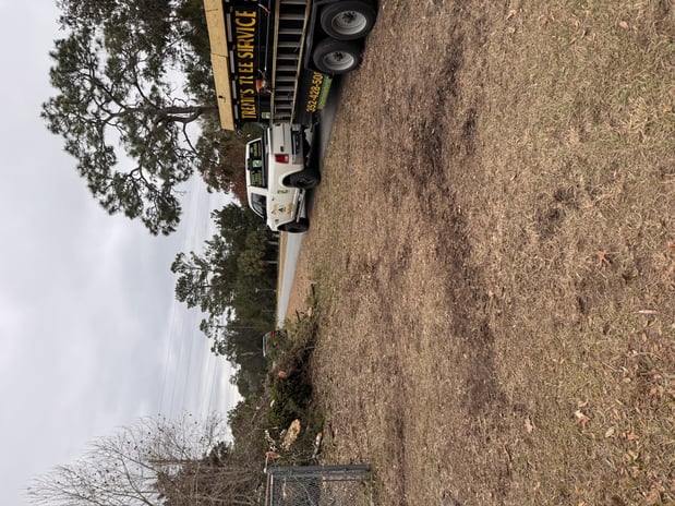 Images Trent's Tree Service The Neighborhood Arborist LLC