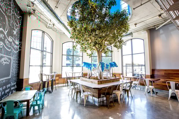 Images Mendocino Farms