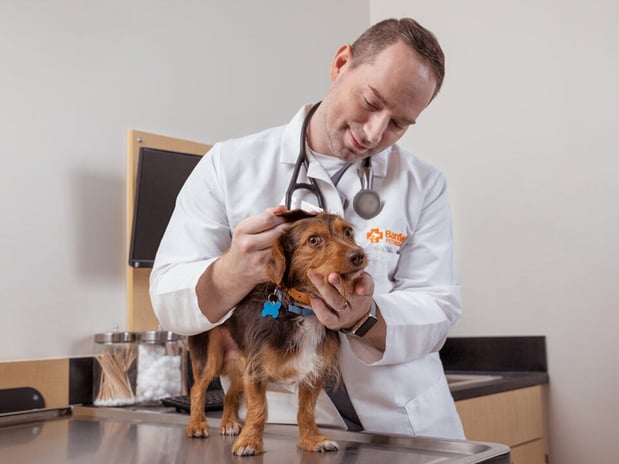 Images Banfield Pet Hospital