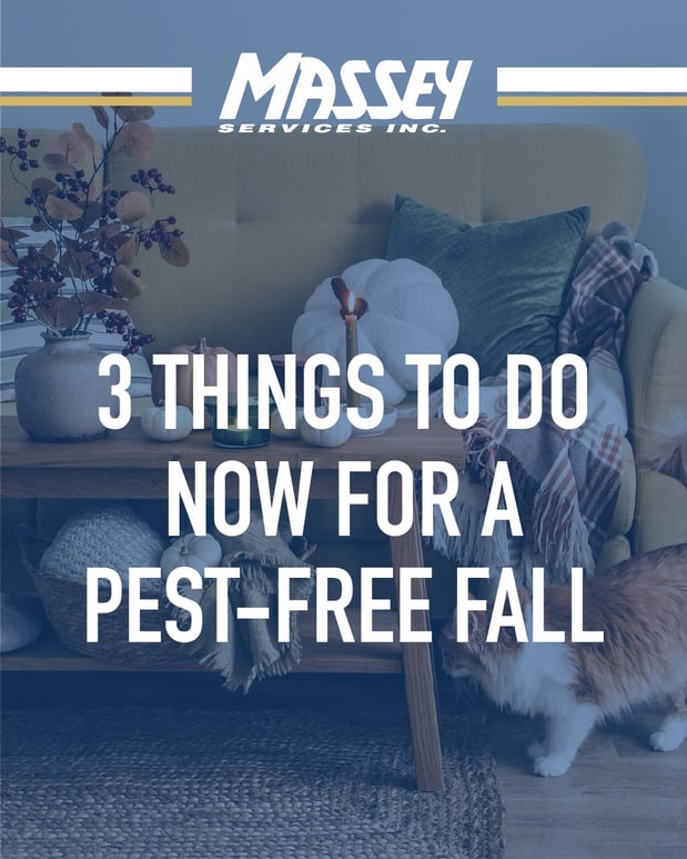 Images Massey Services Pest Control