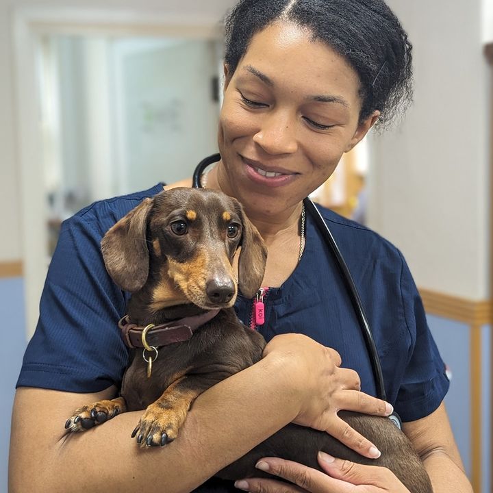 Abingdon Veterinary Clinic