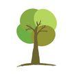 Santis Landscaping