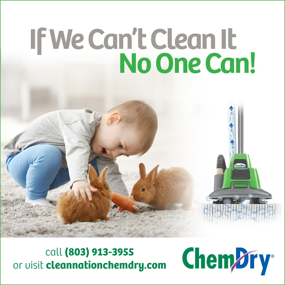 Chem-Dry if we can't clean it no one can