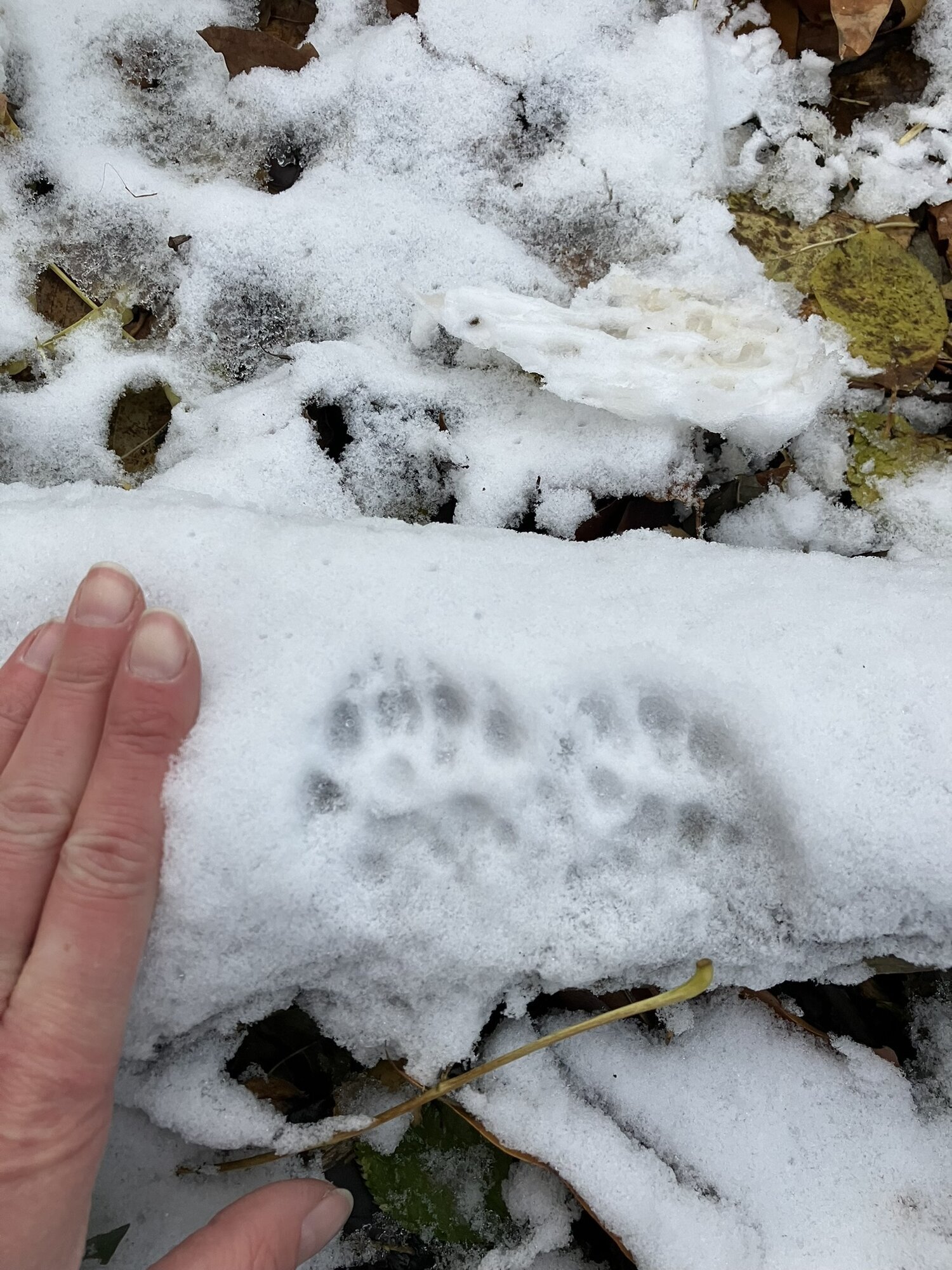 Wildnisschule WildnisWelt in Greven