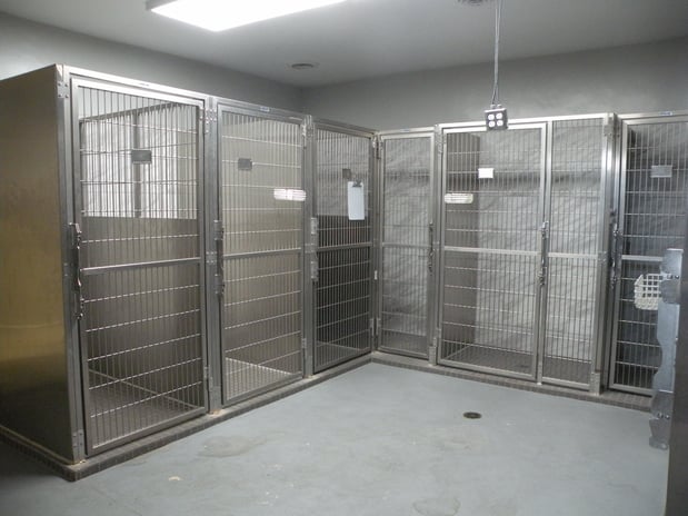 Images VCA College Park - Ana Brook Animal Hospital