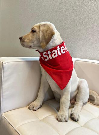 Images Nick Fincham - State Farm Insurance Agent