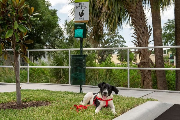 Images Home2 Suites by Hilton Tampa Westshore Airport