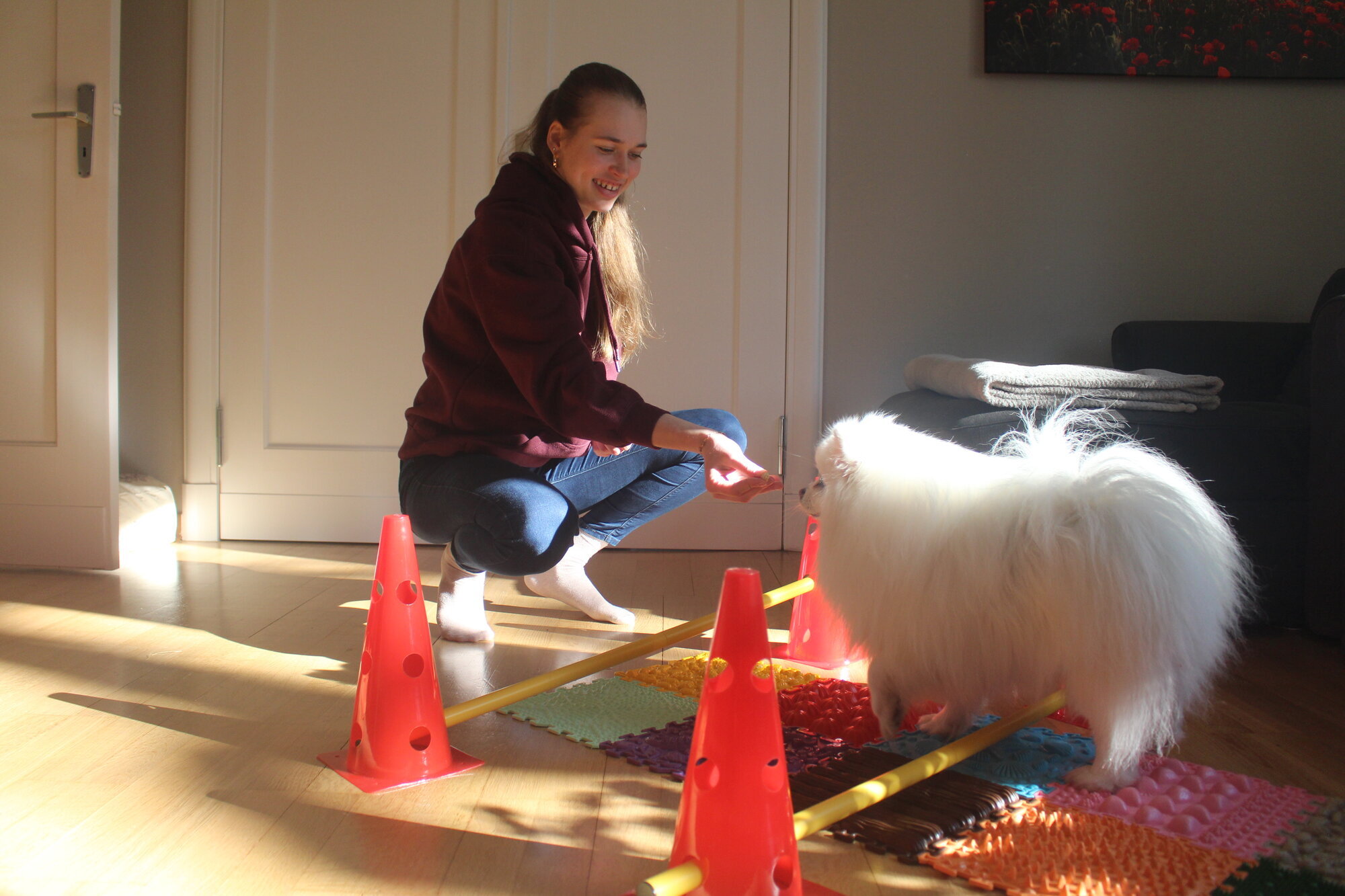 Tierphysio mit Franzi in Berlin