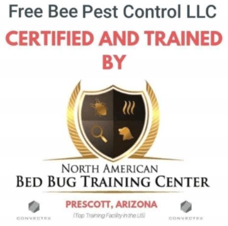 Images Free Bee Pest Control