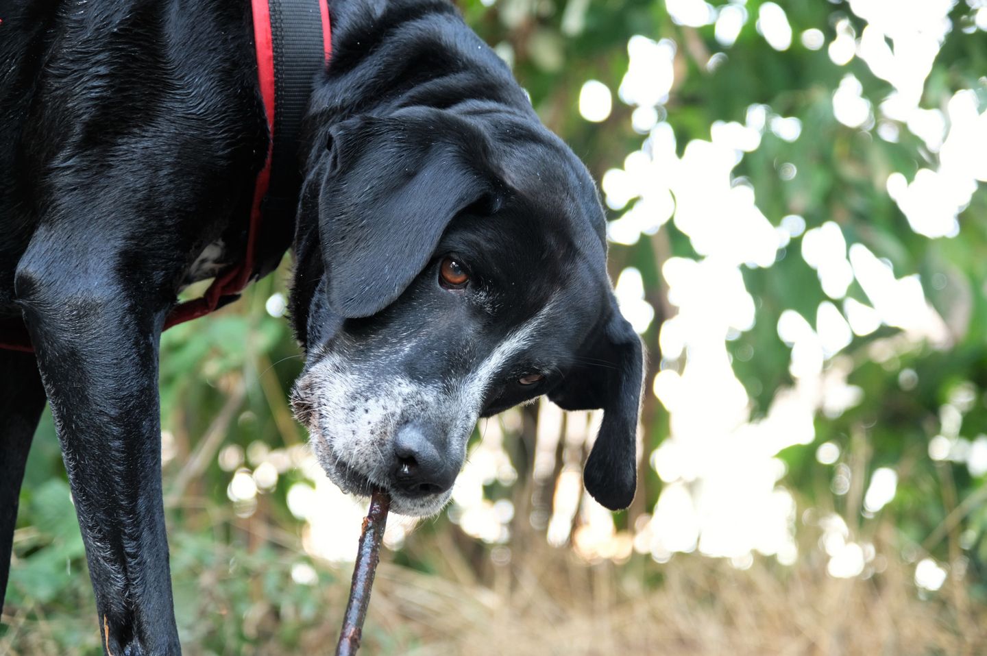 Foto Event- DreherEck, Bertastr. 82 in Düsseldorf