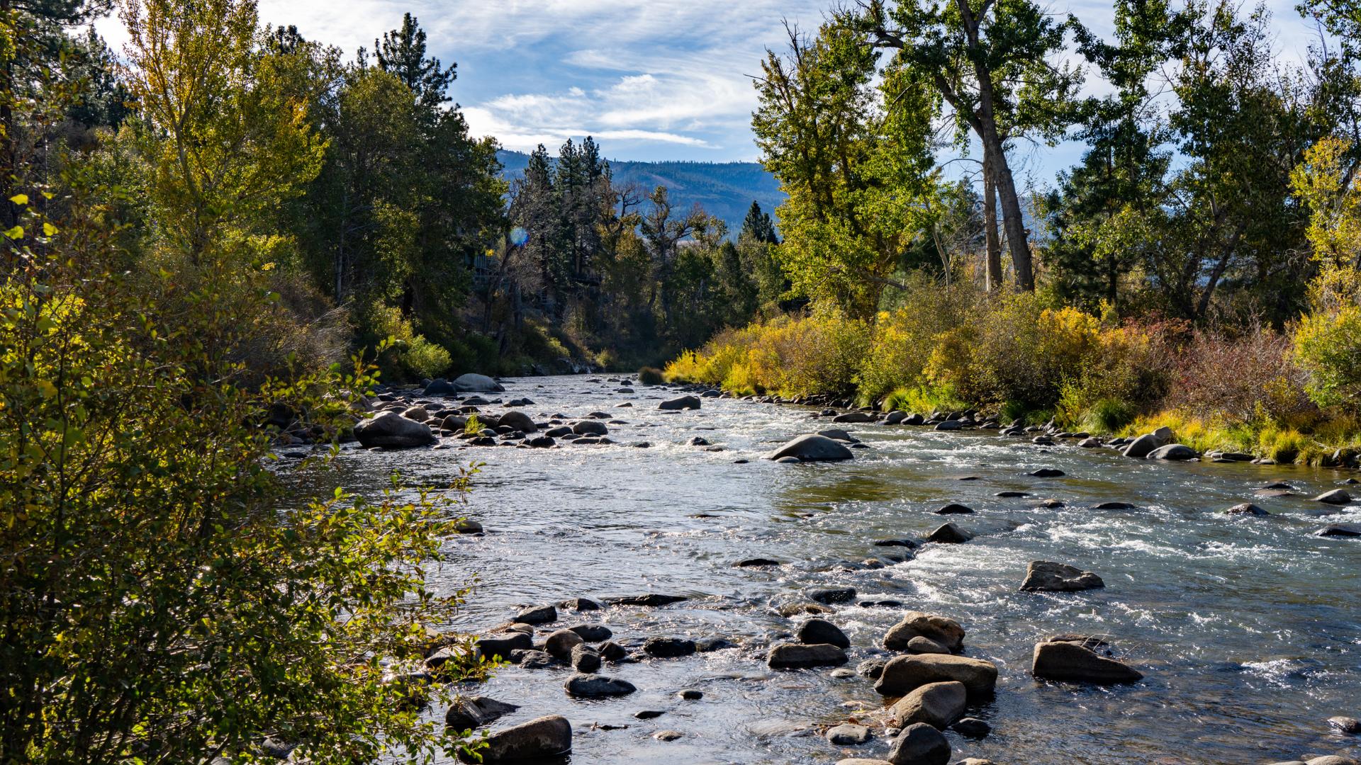 Serene Verdi location in Reno, NV