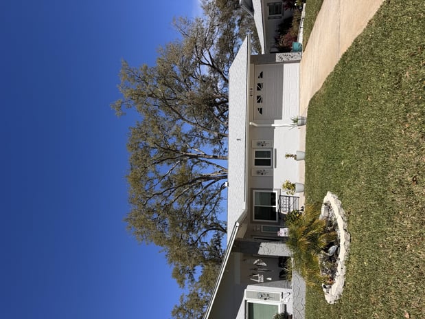 Images Trent's Tree Service The Neighborhood Arborist LLC