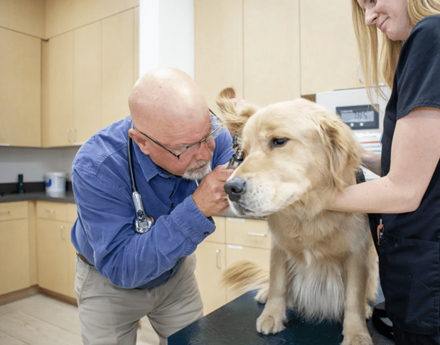 Images Crescenta Cañada Pet Hospital