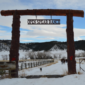 Open Spear Ranch