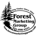 Forest Marketing Group LLC Logo