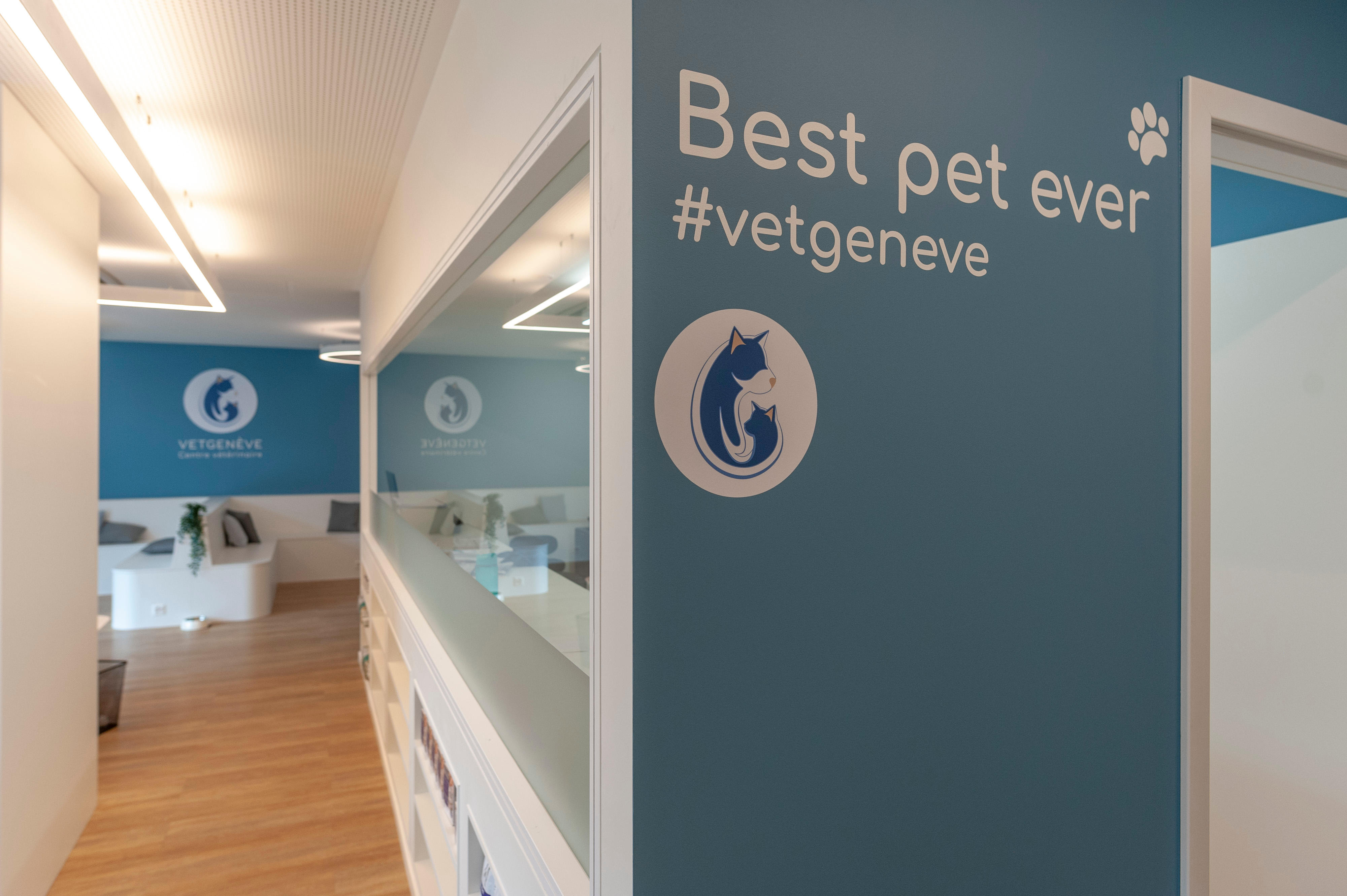 Bilder VetGenève - Clinique vétérinaire
