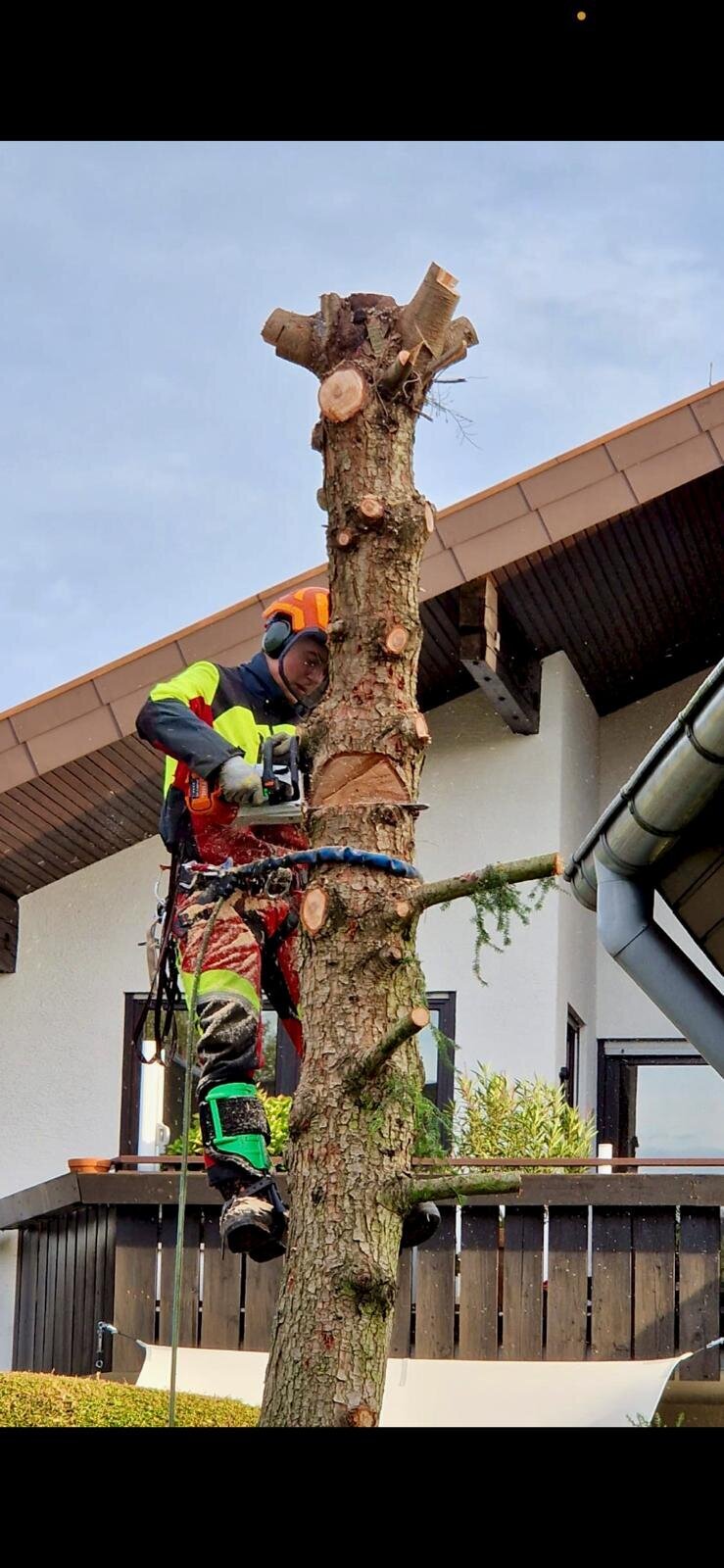 Bilder Forst- und Gartenservice Roller