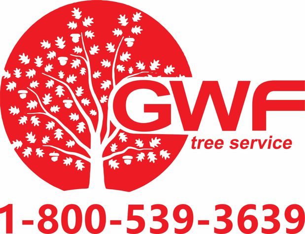 Images Gordon W. Frazier Tree Service