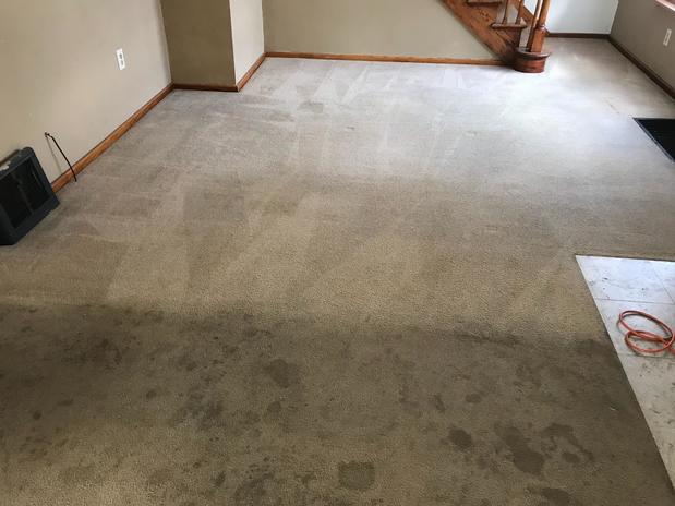 Images JLM Certified Carpet Cleaning