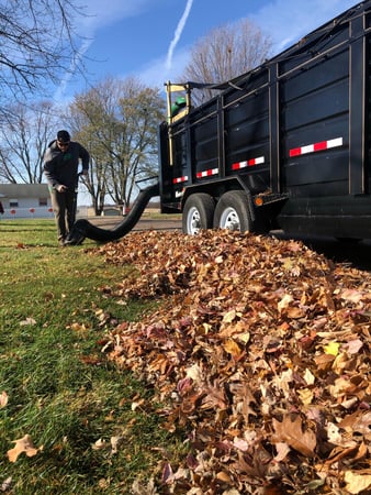 Images Backyard Barber Lawn Care and Landscaping