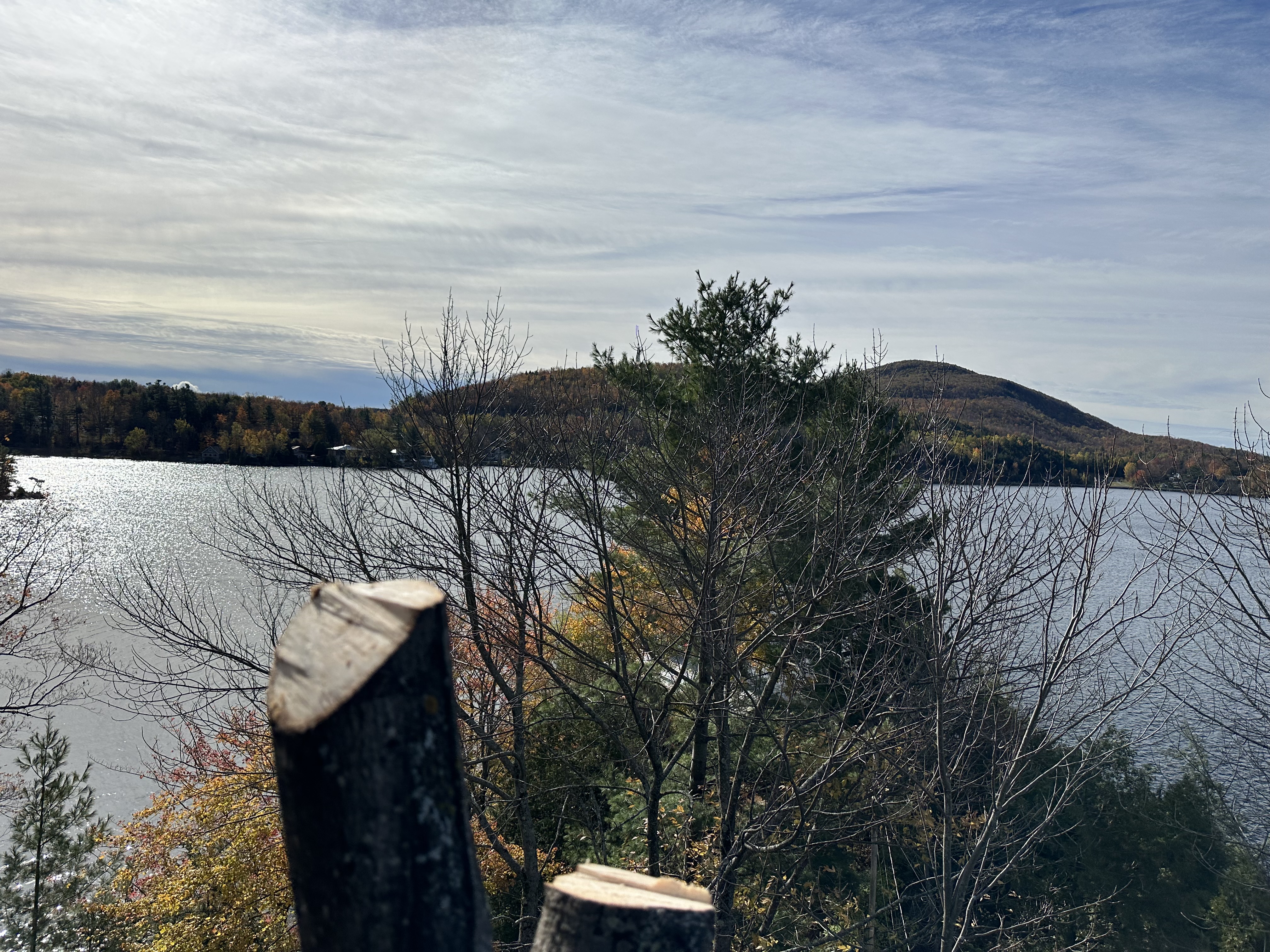 Images Altitude Abattage - Services d'arbres, Élagage, Émondage