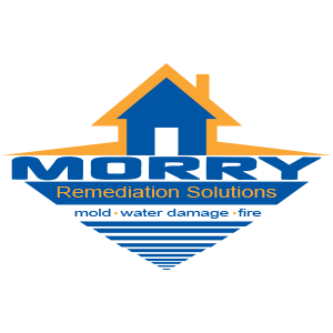 Morry Remediation Solutions Logo