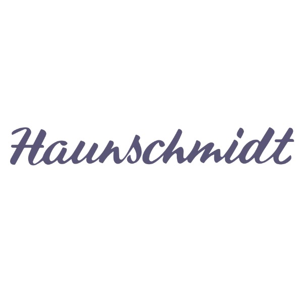 Logo von Haunschmidt GesmbH & CoKG