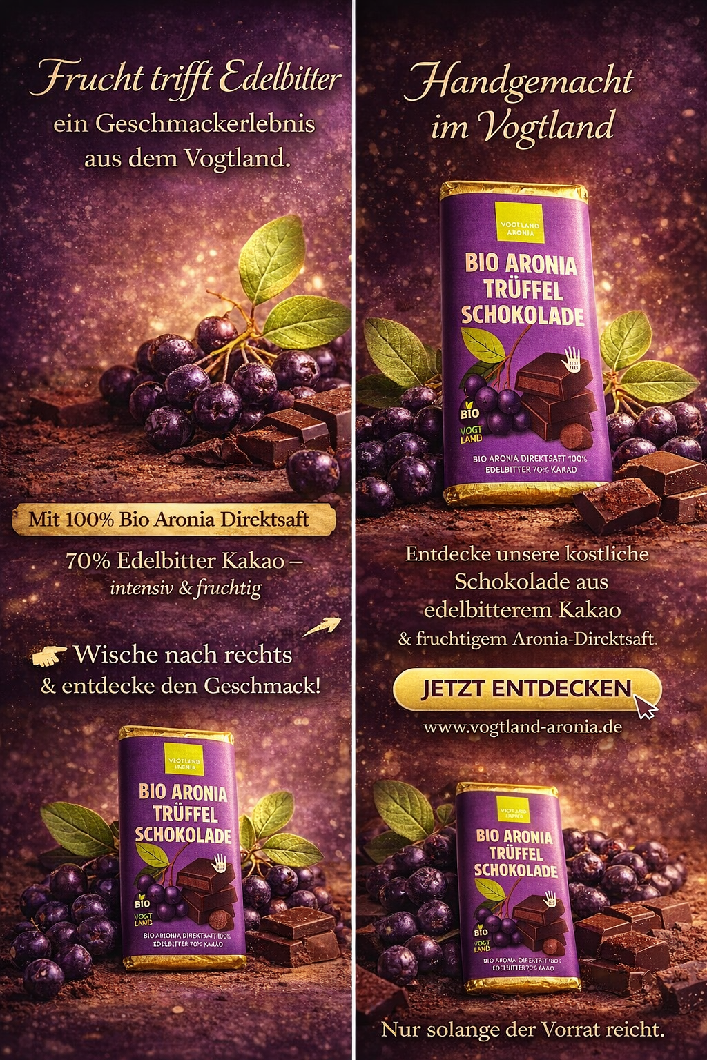 VOGTLAND ARONIA UG (haftungsbeschränkt), Tannenhof 20 in Plauen