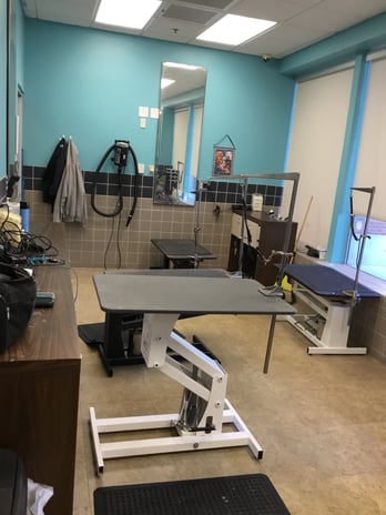 Images Petco