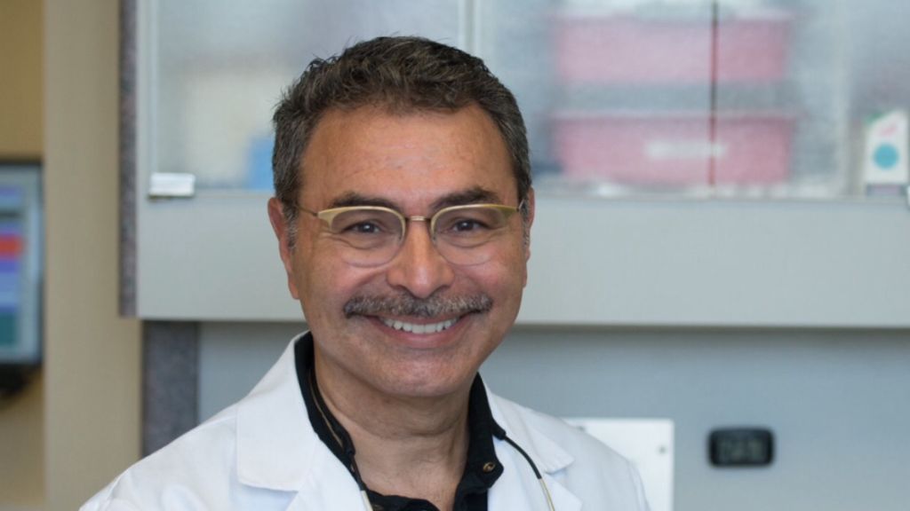 Louis V Guariglia V, DDS - Norwalk, CT - Dentistry, General Dentistry