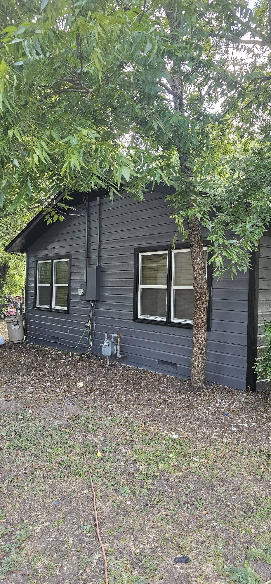 Johnson Painting Image