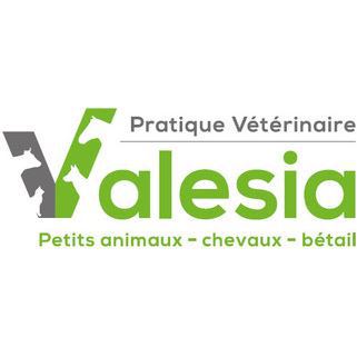 Pratique Vétérinaire Valesia SA Logo