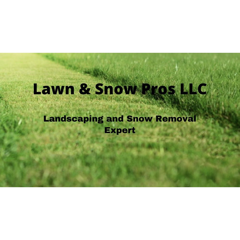 Lawn & Snow Pros Logo