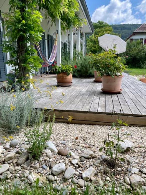 Bilder mantis Gartenbau GmbH
