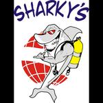 Sharky's Scuba & Swim Logo