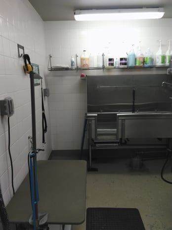 Images Petco Grooming