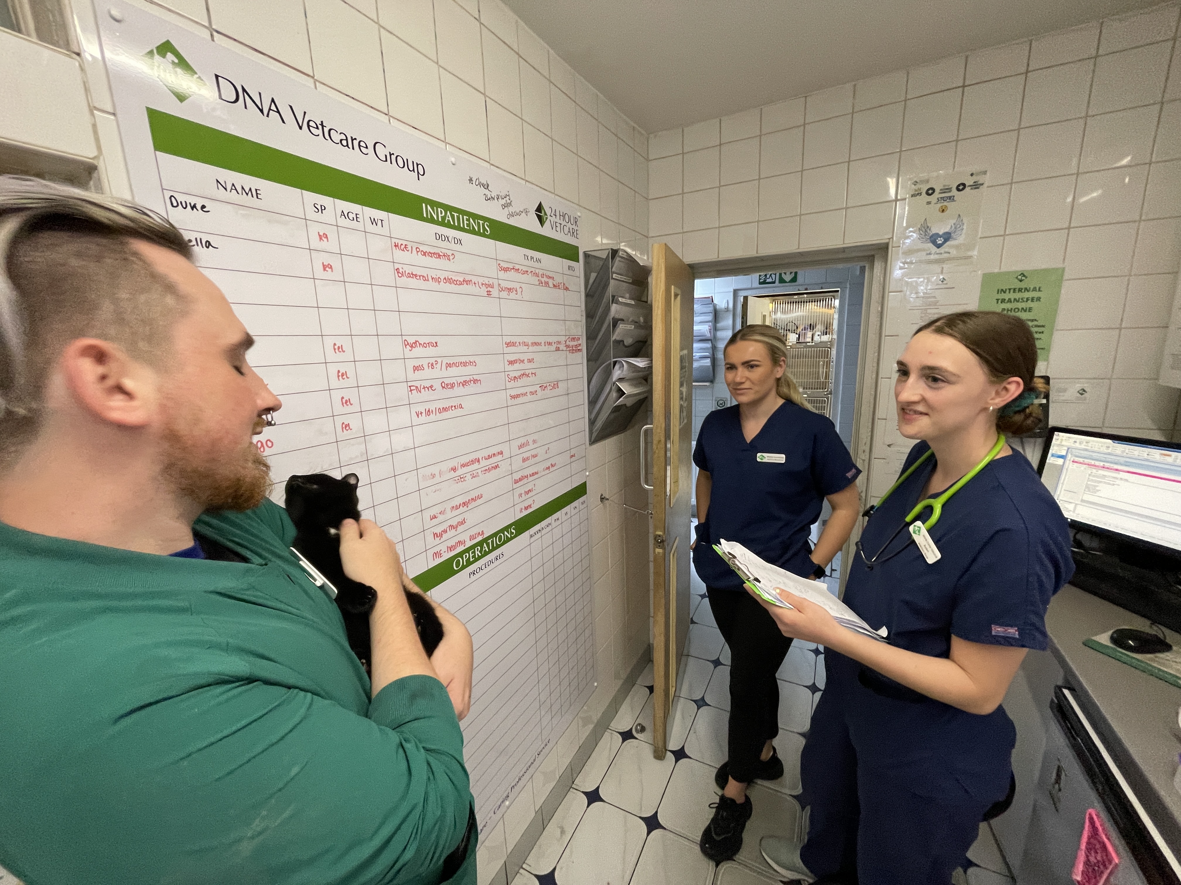Images Streatham Hill Veterinary Surgery