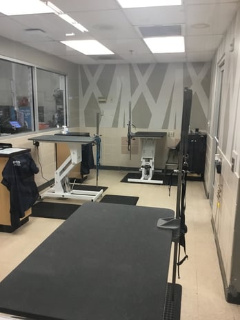 Images Petco Grooming