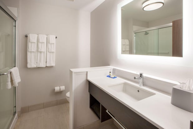 Images Holiday Inn Express & Suites Grand Rapids South - Wyoming by IHG
