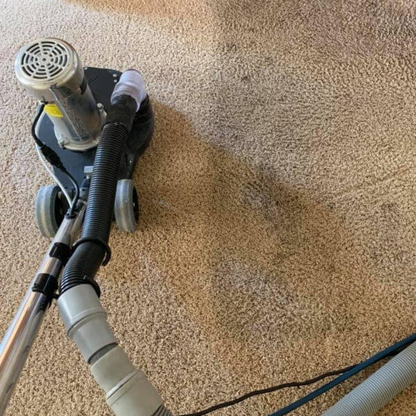 prices for carpet cleaning services