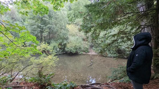 Images Santa Cruz Redwoods RV Resort